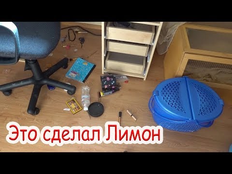 Видео: VLOG Лимон добрался до косметики