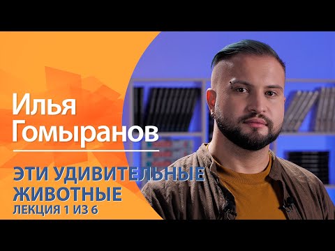 Видео: Эти удивительные животные. Илья Гомыранов. Лекция 1 из 6