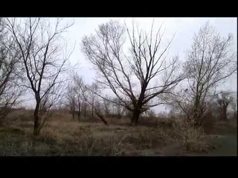 Видео: Аэродром Сокол Орск