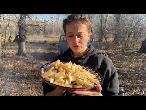 Видео: Вешенки в казане с картошкой 
