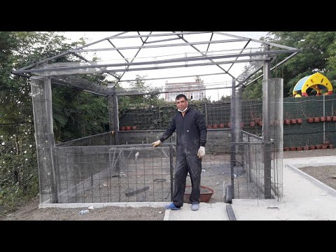 Видео: как сделать беседку  из арт  бетона столбы  в  виде  деревьев  в  Турции  работа   мастера  Фархада