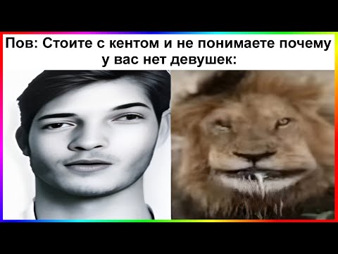 Видео: тик ток без девушки | подборка мемов