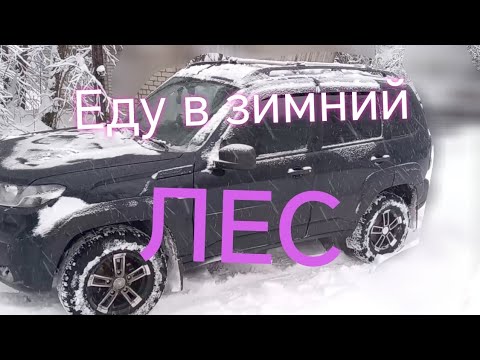 Видео: Лада Нива Тревел///Почистил снег и опять еду в зимний лес. #ниватревел #деревенскаяжизнь #покатушки