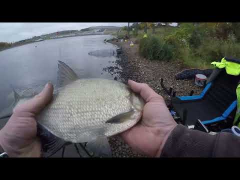 Видео: ТАКОГО ОКОНЧАНИЯ РЫБАЛКИ Я НИКАК НЕ ОЖИДАЛ.