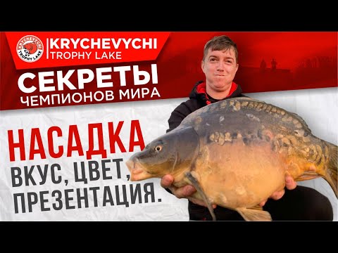Видео: Рыбалка на карпа. Насадка - вкус, цвет, презентация