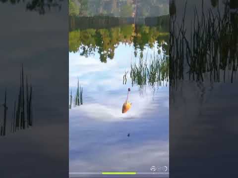 Видео: Трофейный Линь Золотистый. Русская рыбалка 4. #рыбалка #fishing #рр4 #shorts