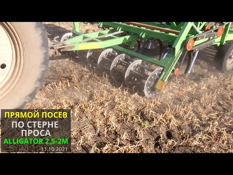 Видео: Прямой посев озимого ячменя по стерне проса сеялкой ALLIGATOR 2,5-2М