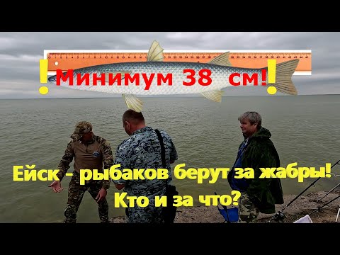 Видео: Ейск - рыбаков берут за жабры. Кто и за что! Ейский лиман.