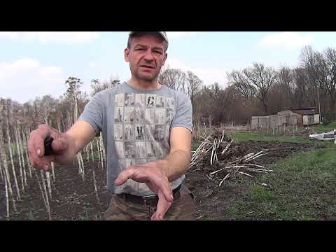 Видео: Утилизация табачных отходов.