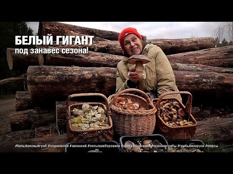 Видео: БЕЛЫЙ ГИГАНТ под занавес сезона!