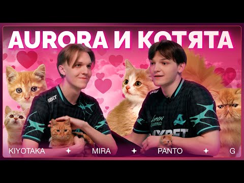 Видео: ДОТЕРЫ ЛЮБЯТ КОТИКОВ (и отвечают на вопросы) | AURORA DOTA 2