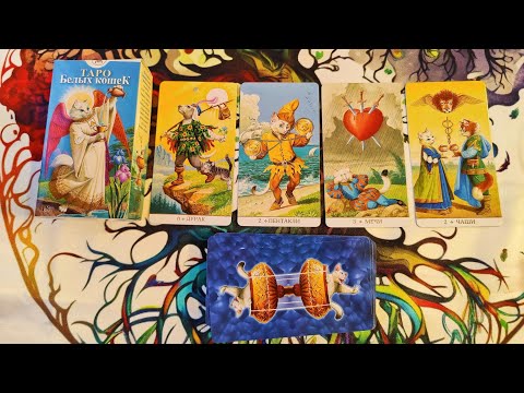 Видео: Самая милая колода с котиками "Таро белых кошек", без рамок.