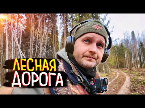 Видео: НАХОДКИ В ЛЕСАХ. Обследую старую дорогу.