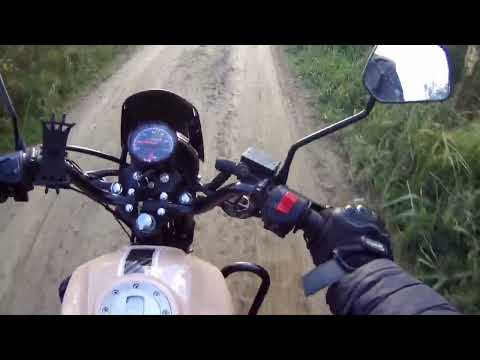Видео:  Rato warrior 150cc.Закрыл сезон 2025,прохват по лесам на колтушских высотах