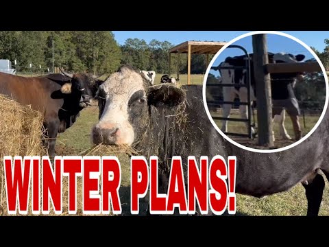 Видео: ЗИМА! Му вытащил меня! Тройная работа Джейка