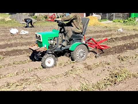 Видео: уборка картошки 2021. Минитрактор из металлолома в деле!