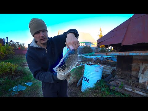 Видео: Успели это сделать в последний момент до наступления холодов!