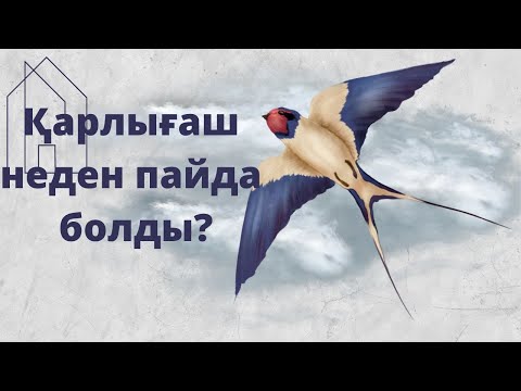 Видео: ҚАРЛЫҒАШ НЕДЕН ПАЙДА БОЛДЫ?