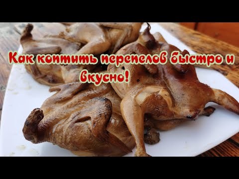 Видео: Копченые перепела, вкусно и бытро!