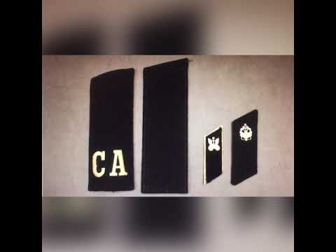 Видео: Лекция «Знаки различия Советской армии обр. 1969 года»