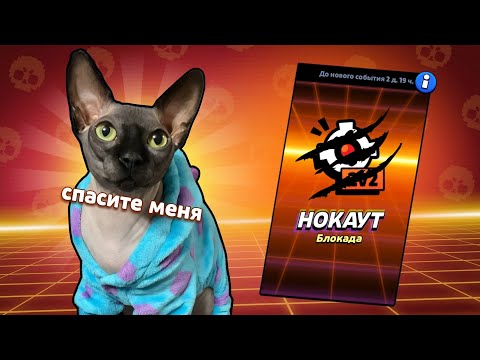 Видео: НОКАУТ 2 НА 2 С САНЕЧКОЙ И МИШУРОЙ 🐾