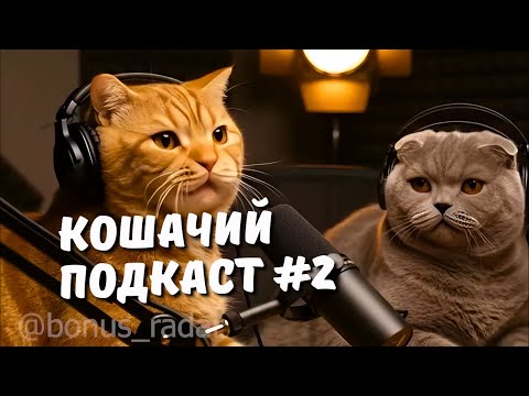 Видео: КОШАЧИЙ ПОДКАСТ #2 | Владельцем котов не смотреть!!!!