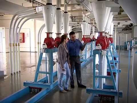 Видео: Элеватор 120 лет