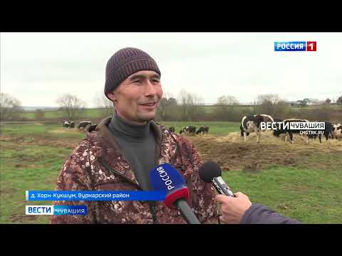 Видео: Семья из Вурнарского района превратила заброшенную ферму в развивающийся бизнес
