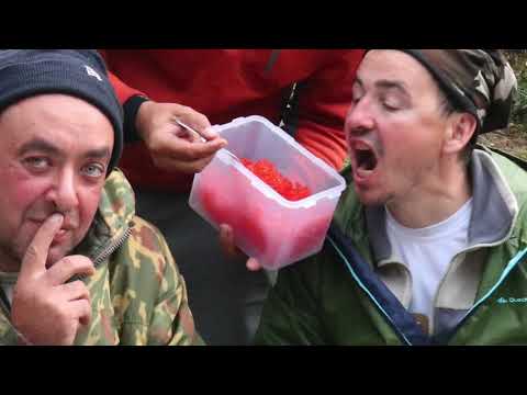 Видео: Рыбалка на Камчатке в сентябре. Сплав по реке Быстрая. Ловля Кижуча.
