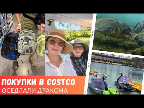 Видео: Покупки в Costco на Гавайях / Оседлали дракона / Гавайская черепаха / Влог США
