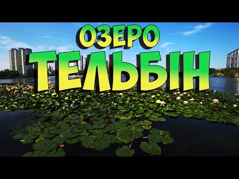 Видео: Озеро Тельбін. Велодоріжка навколо озера. Дерево Цоя. #тельбін #деревоцоя #киевсейчас #велосипед