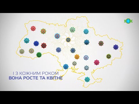 Видео: СПЕЦІАЛЬНИЙ РЕПОРТАЖ 18.08.2021 с.СОЛОШИНЕ