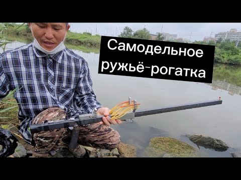 Видео: подстрелил сазана с секретного моста #slingshotfishing