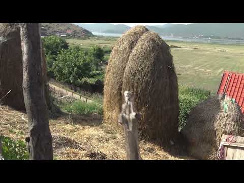 Видео: Долна Горица-село во Мала Преспа (Албанија)