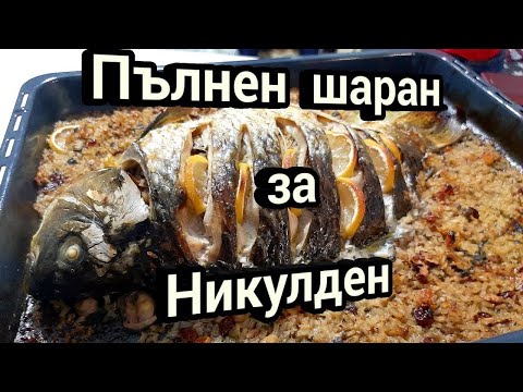 Видео: Пълнен шаран за Никулден - Как да си приготвим?