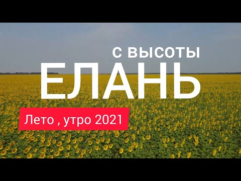 Видео: Елань с высоты, утро, лето 2021г. Волгоградская область.