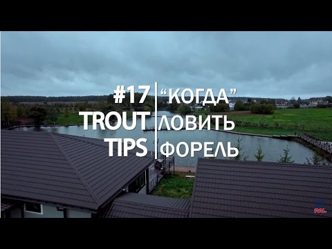 Видео: Trout Tips #17. Лучшее время для ловли форели