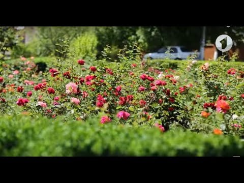 Видео: В путь! Село Красное - 31/05/18