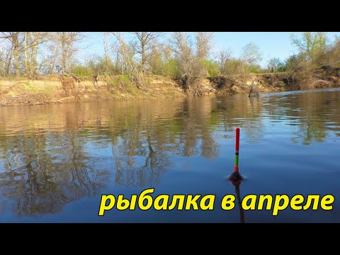 Видео: Рыбалка на реке. апрель 2022
