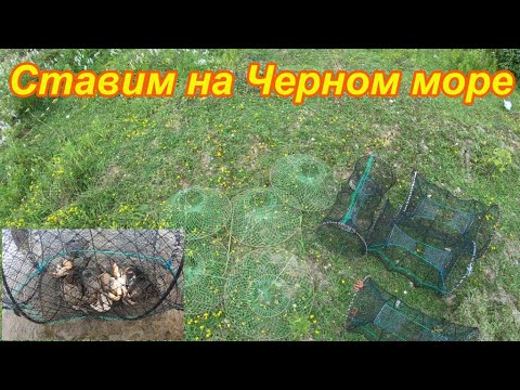 Видео: Ставим 9 ловушек, проверяем что можно поймать.Черном море. Абхазия, Сухуми.