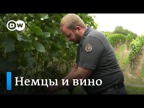 Видео: Как делают и пьют вино в Германии