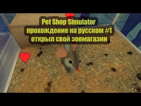 Видео: Pet Shop Simulator Prologue (ОБЗОР)