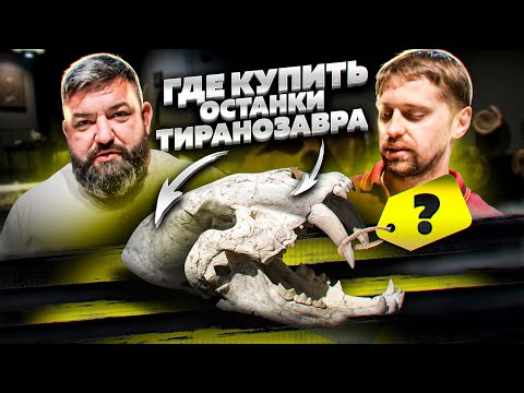 Видео: ГДЕ КУПИТЬ ОСТАНКИ ДИНОЗАВРА И КУСОК ЛУНЫ? ПАЛЕОХАНТЕРС/ОХОТНИКИ ЗА ДРЕВНОСТЯМИ/КАБИНЕТНЫЕ ЗАКРОМА