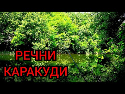 Видео: ЗА КАРАКУДИ на ФИДЕР! РИБОЛОВ на РЕКАТА