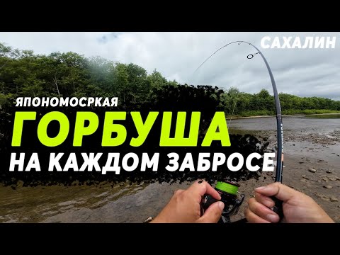 Видео: Наконец-то я нашёл ГОРБУШУ ! Мощная рыбалка