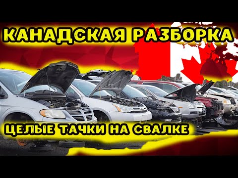 Видео: Доступные машины в Канаде||Канадская разборка