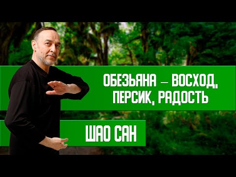 Видео: Игра 5 Зверей — Стихия Огонь — Обезьяна (весь комплекс)