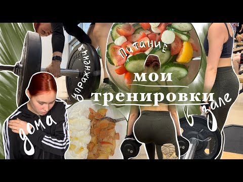 Видео: мои тренировки | как тренируюсь в зале, дома и мой дневной рацион