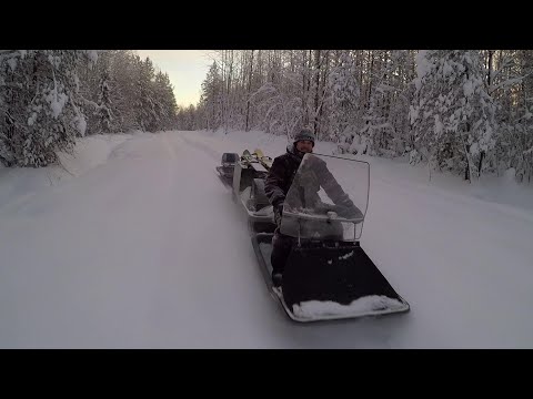 Видео: Ураган Тайга 600: прогулка по зимнему лесу...