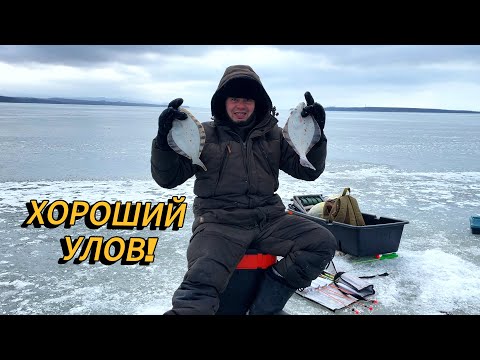 Видео: Такой БОЛЬШОЙ камбалы зимой мы ещё не ловили!